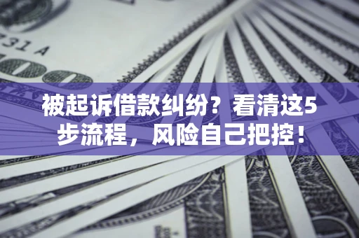 济南被起诉借款纠纷？看清这5步流程，风险自己把控！