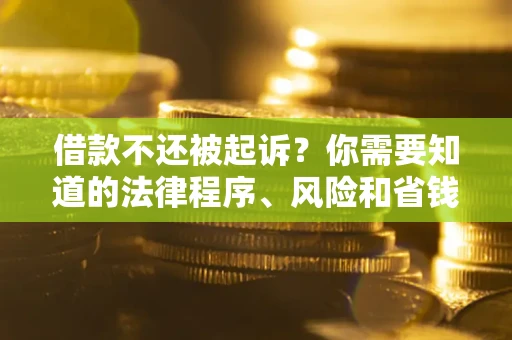 济南借款不还被起诉？你需要知道的法律程序、风险和省钱技巧