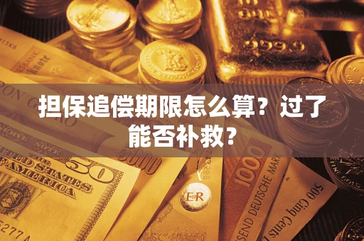 济南担保追偿期限怎么算？过了能否补救？